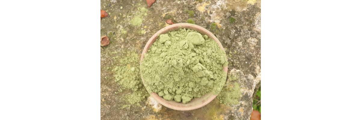 FDA Kratom Verbot Weltweit - FDA Kratom Verbot Weltweit