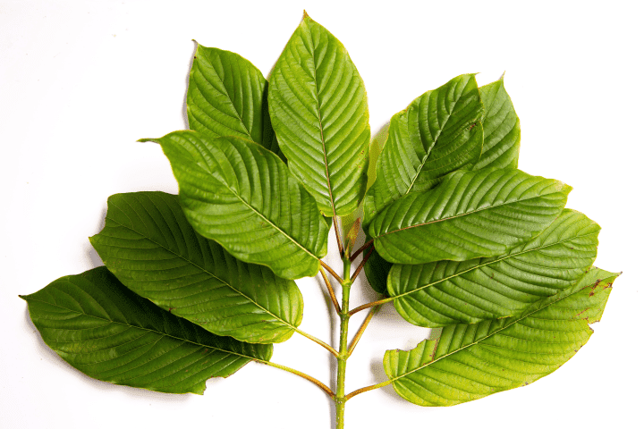 Buy Kratom Online in Germany