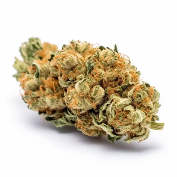 Super Lemon Haze 3 Samen