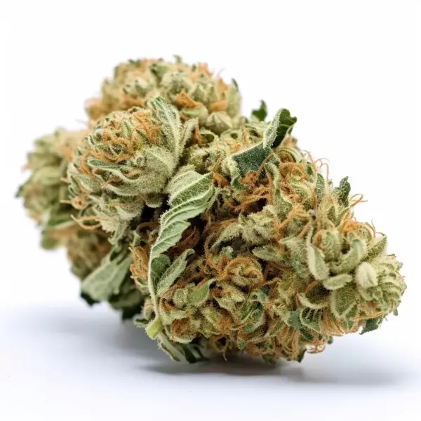 White widow 3 Samen