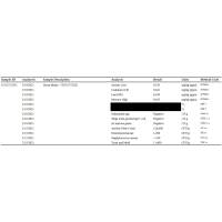 Green Malay Kratom 250 g