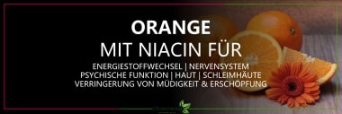 Orange als Niacin Vitamin B3