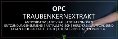 Traubenkernextrakt kaufen